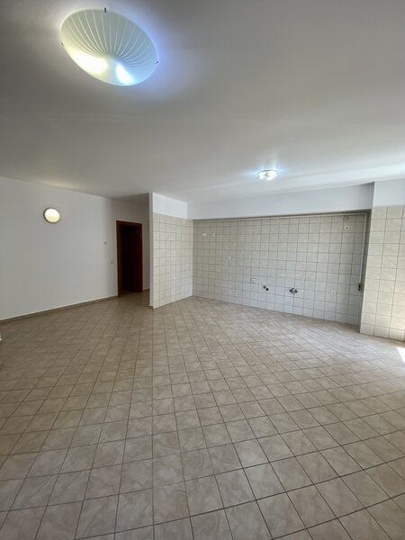 Decebal, Delea Veche, Invingatorilor, c-tie 2008