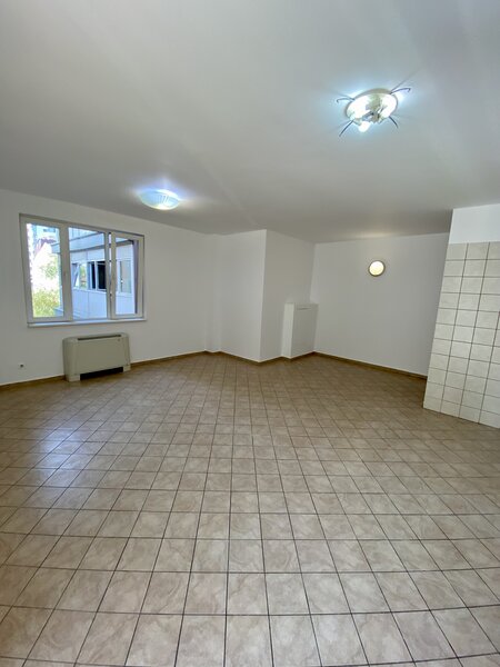 Decebal, Delea Veche, Invingatorilor, c-tie 2008