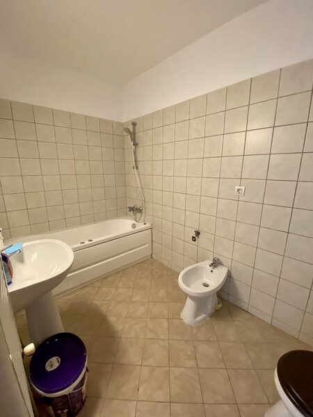 Decebal, Delea Veche, Invingatorilor, c-tie 2008