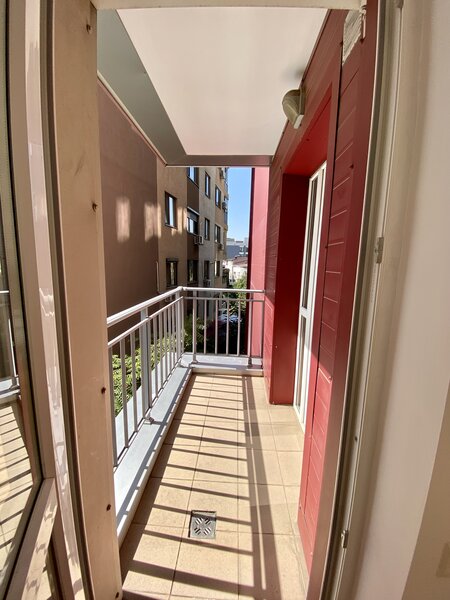 Decebal, Delea Veche, Invingatorilor, c-tie 2008