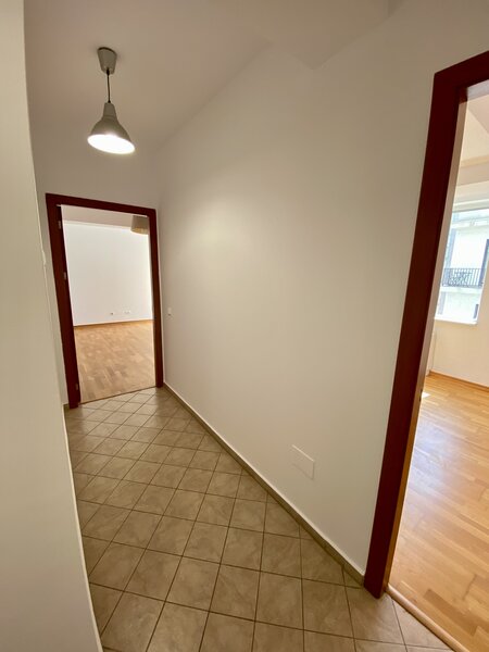 Decebal, Delea Veche, Invingatorilor, c-tie 2008