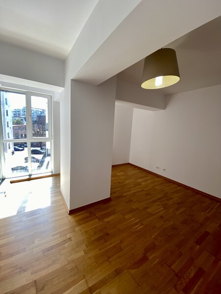 Decebal, Delea Veche, Invingatorilor, c-tie 2008